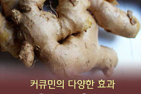 울금 효능 5가지와 울금가루 먹는방법