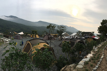 Camp.#10. 마산 영학관광농원