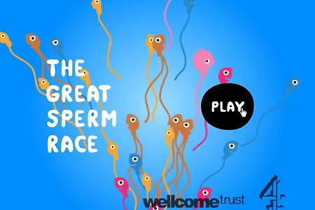 임신시키기게임  (The Great Sperm Race)