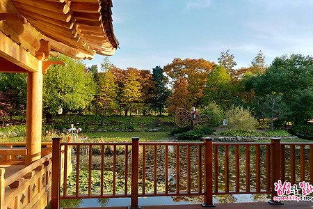 진주수목원 무료개방중! 주말나들이 힐링장소로 추천