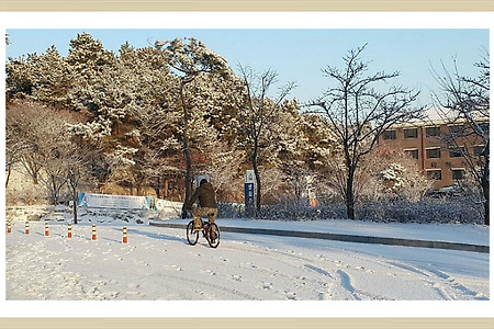 ​#아름다운풍경, 겨울눈, 발자국,
