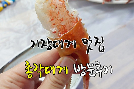 부산 기장시장 총각대게 방문후기, 대게철 대게 먹으러 대개 어디가나요?