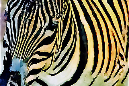 야생 동물ㆍWild Animals