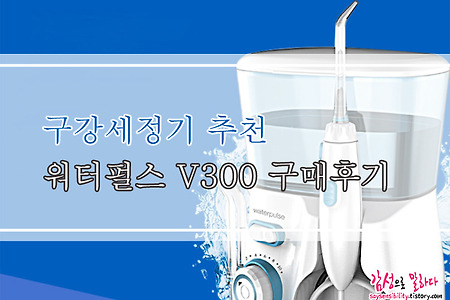 구강세정기 추천 워터펄스 V300 구매후기 (WaterPulse V300 리뷰)