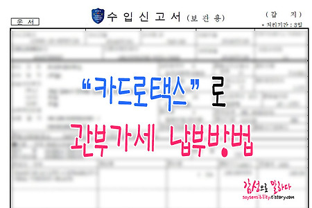 관부가세 대납서비스 없이 셀프로 관부가세 납부방법 카드로택스