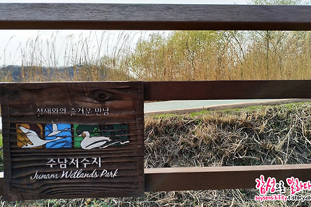 따뜻한 봄날 산책하기 좋은 곳, 창원 주남저수지