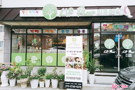 김해 진영 '리프패럿' 앵무새가 있는 이색테마 카페