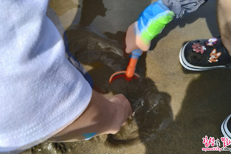 다대포 갯벌체험 - 아이들이 좋아하는 모래놀이와 조개잡이를 동시에