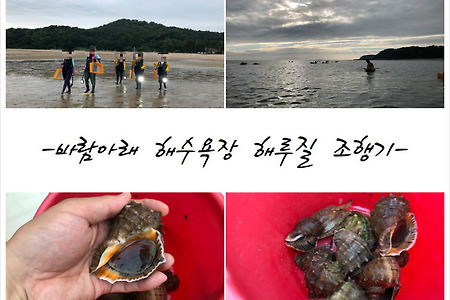 ★★안면도 해루질 바람아래해수욕장편20190629★★