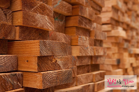 목재의 비중과 단위중량, 중량 산출공식의 계산법은?