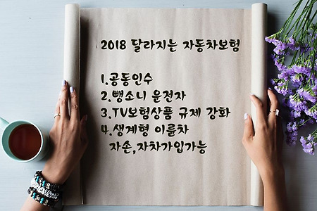 2018달라지는 자동차보험*즐겅운자동차형제