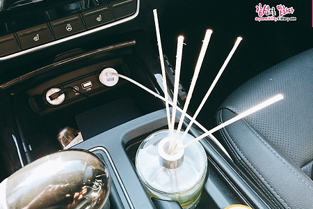 다이소 디퓨저 우드 스틱 500원짜리 구매후기