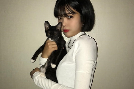 아이유 팬이라면 도전! 아이유 닮은 사진작가 김청아 구별하기