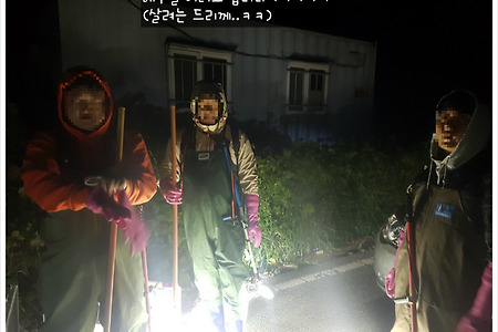 [해루질] 해루질 물때 보는법