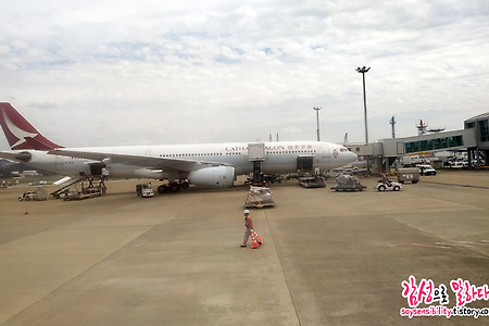 후쿠오카 여행 도요타렌트카 이용후기와 공항 픽업위치
