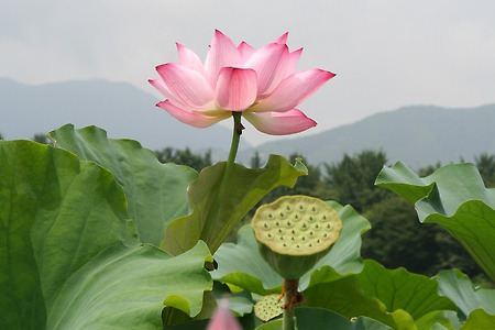 죽음을 앞둔 사람의 권리 장전