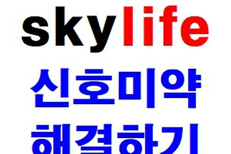 스카이라이프 신호미약 해결해보자!
