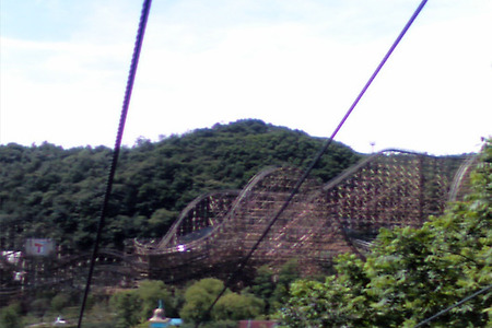 용인┃에버랜드 티 익스프레스