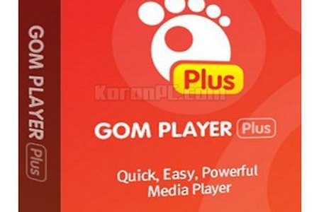GOM Player Plus 2.3.25.5282 + Portable