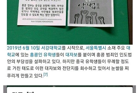 서울 중국인 유학생들 근황 [펌]