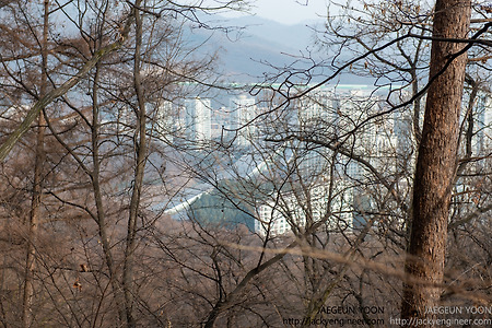 서판교 산운마을에서 국사봉 트레킹 하기