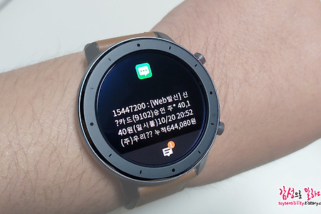 샤오미 어메이즈핏 GTR 47미리 한글화 방법 공유 (Amazfit GTR 47mm 한글패치)