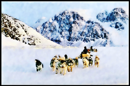 썰매개ㆍDog Sledding