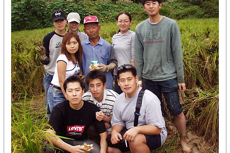 2003 수해지역 농촌봉사활동 사진
