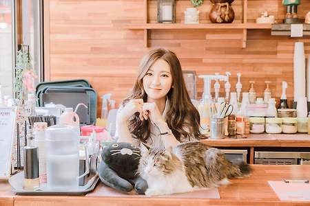 한국 최초 야외형 고양이카페 '고양이정원'