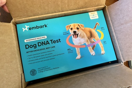 강아지 유전자 검사, Embark, DNA test 🐕🧬 - 1. 키트 구매, 배송, 검사 (Promo code)