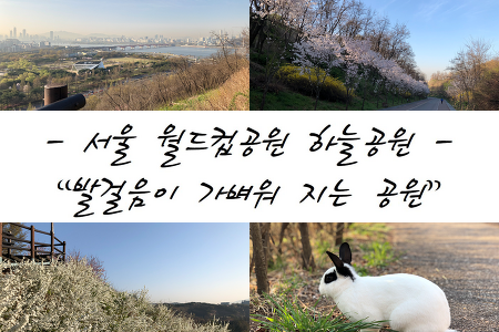 서울 마포구청역 월드컵공원 하늘공원 벚꽃길