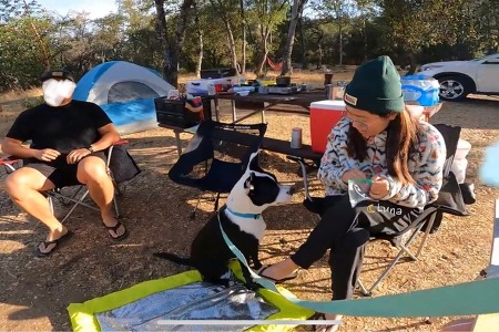 올해 마지막, 여름 끝자락에 다녀온 캠핑: Bushay Campground, Mendocino Lake