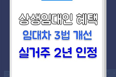 6.21 부동산대책 - 상생임대인 실거주 2년 인정