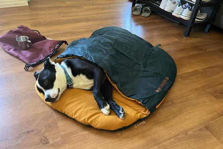 Wilder dog 🐶 강아지 캠핑용품: 강아지 침낭, 사료 가방, Crap Carrier