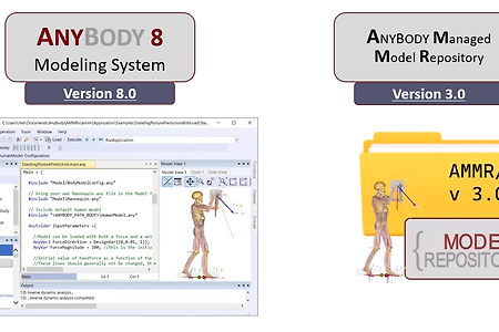 AnyBody Modeling System V8.0 - What's New