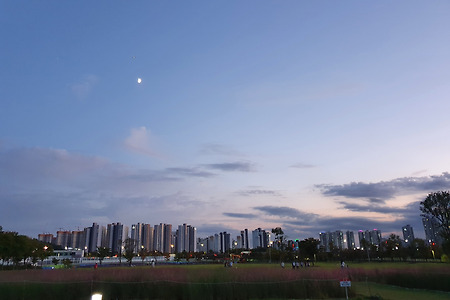 [반려견일상] 산책하기 좋은 장소:: 인천 아시아드 주경기장