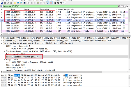 와이어샤크 실습-2  패킷, IP 단편화 분석 (Ping)