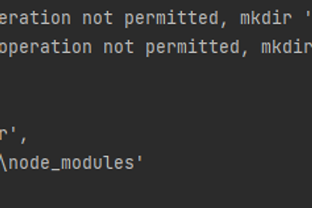 [npm] Error: EPERM: operation not permitted, mkdir '\node_modules' 에러가 날 때