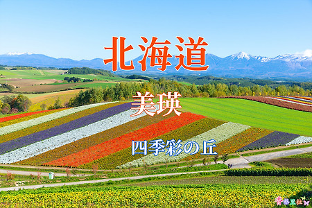 2019 홋카이도(北海道) 가을 단풍여행, 비에이(美瑛) 시키사이노오카(四季彩の丘)