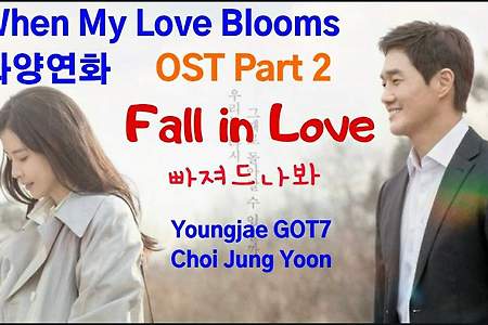 [MV] Youngjae GOT7-Fall in Love 화양연화 When My Love Blooms OST Part2 花樣年華 영재 최정윤 [가사,歌詞,Eng lyrics]