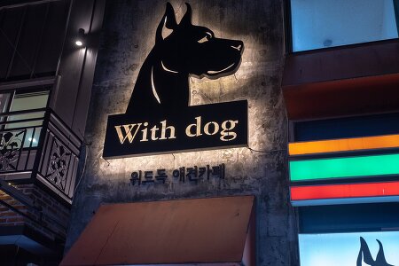 안양예술공원 애견카페 위드독 : 강아지와 함께 힐링 타임을!