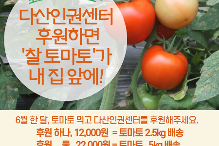 6월 한 달, 토마토 먹고 다산인권센터를 후원해주세요.