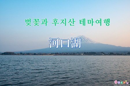 2019 벚꽃과 후지산 테마여행 - 가와구찌고(河口湖) 일몰