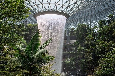 2020년 첫 여행은 싱가포르!! 9 : 창이공항 쥬얼에서 잠시 동안의 휴식