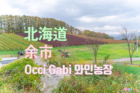 2023 홋카이도(北海道) 삿포로(札幌) 여행 - 요이치(余市) 오치 가비(Occi Gabi) 와인농장