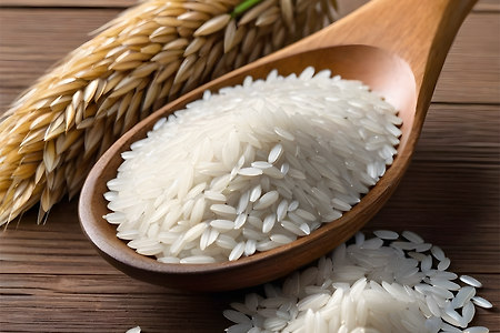 볍씨와 쌀, 하얀 쌀 (무료 이미지)