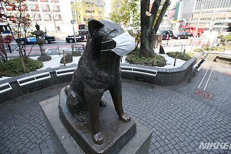 일본 시부야 관광지 하치코 동상의 유래, 강아지 동상이 생긴 이유