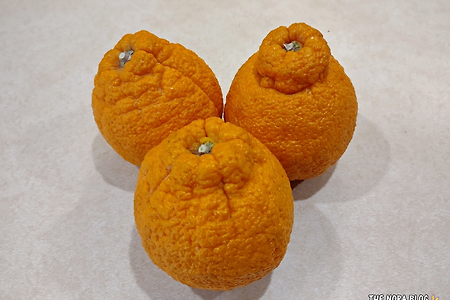 미국의 한라봉 Sumo Citrus Mandarins (스모 시트러스 만다린)