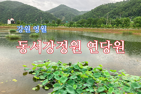 강원 영월, 동서강정원 연당원