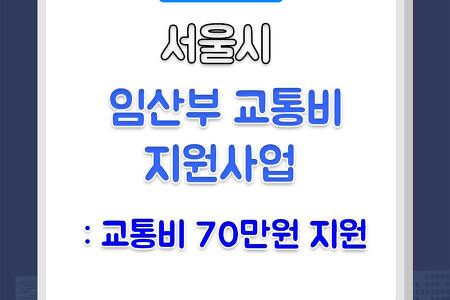 서울시 임산부 교통비 지원사업 - 교통비 70만원 지원